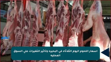 أسعار اللحوم اليوم الثلاثاء في البحيرة وتأثير التغيرات على السوق المحلية
